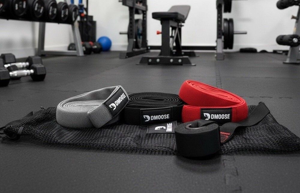 DMoose Fabric Resistance Bands Set 3 Booty Bands Door Anchor Gym New In Package